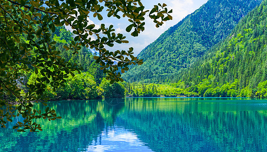 碧水如烟九寨沟背景图片