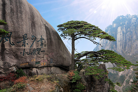 迎客松背景黄山迎客松背景