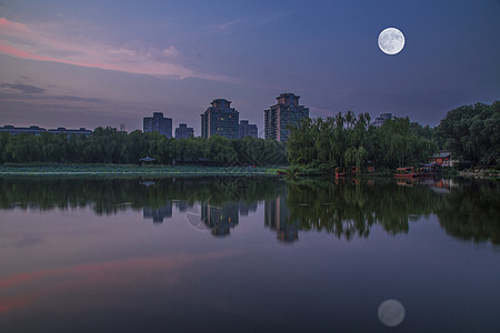 黄月中秋·静背景