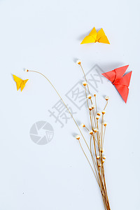 干花纸质蝴蝶设计摆设背景背景图片