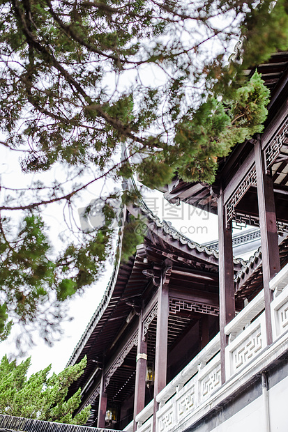 松树前景屋檐园林风景图片