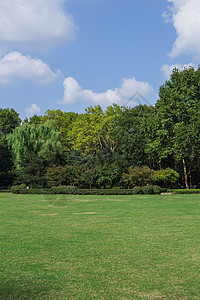 蓝天白云树林草地景观风景图片