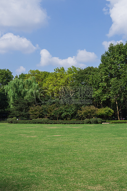 蓝天白云树林草地景观风景图片