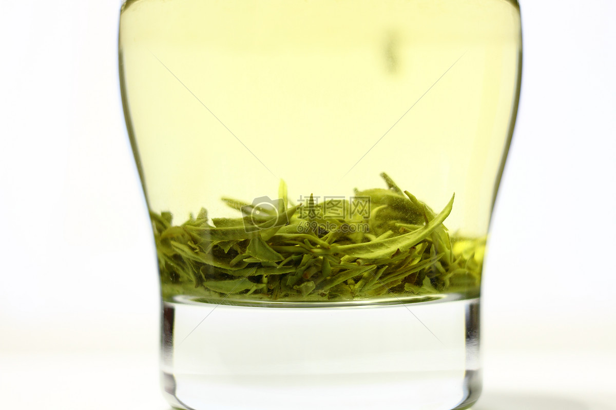 白茶的简单功效与作用_功