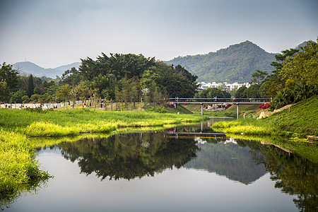 树桥生态公园背景