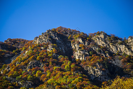 秋色之山风景优美凉爽高清图片