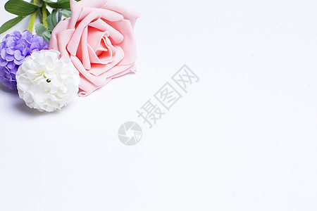 白色玫瑰白色下的花背景