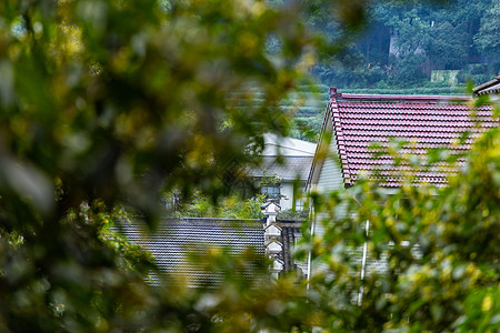 瓦房顶山林中的斜顶建筑背景