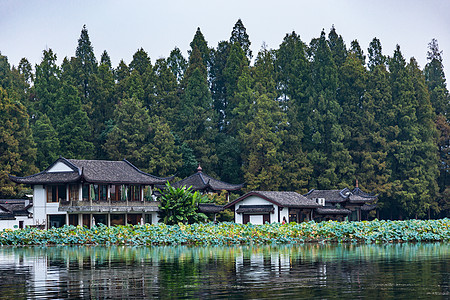 瓦房顶山林中的斜顶建筑背景