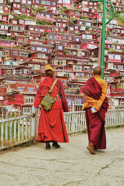 佛学院的喇嘛们图片