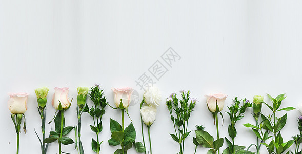 母亲节康乃馨鲜花花束背景背景