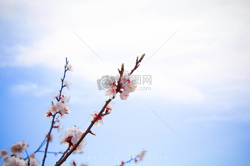 户外风景图片