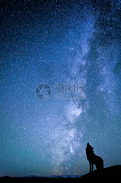 夜空下狼的剪影图片