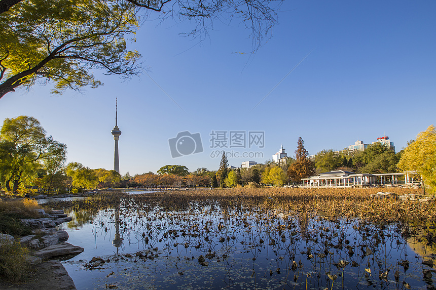 秋景.中央电视塔图片