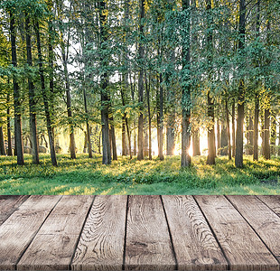 木板树林木头高清图片