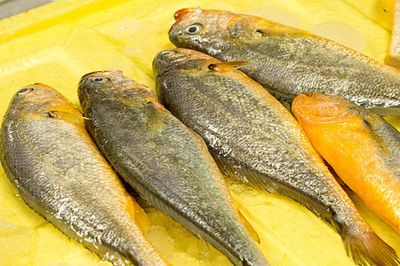 超市商场里的海鲜水产原材料高清图片素材