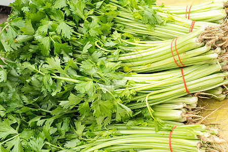 食品商品素材新鲜的蔬菜芹菜背景