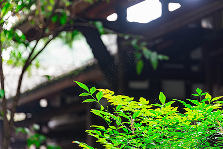 中国风园林小景拍摄背景