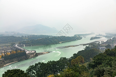 金黄的银杏都江堰水利工程背景