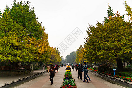 都江堰水利工程背景图片