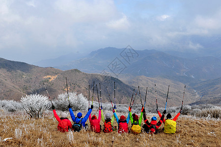 冻山也叫喇叭花高清图片