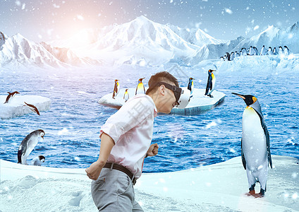 头戴VR眼镜去南极看企鹅图片