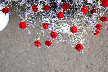 干花写真干花背景