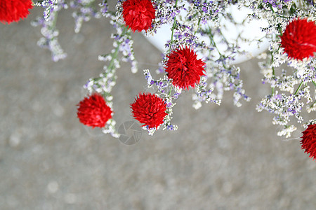 干花背景图片