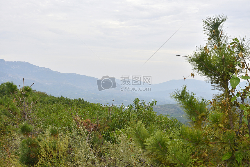 沂蒙山小桥流水人家图片