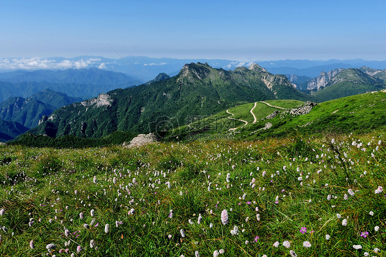 秦岭山风光图片