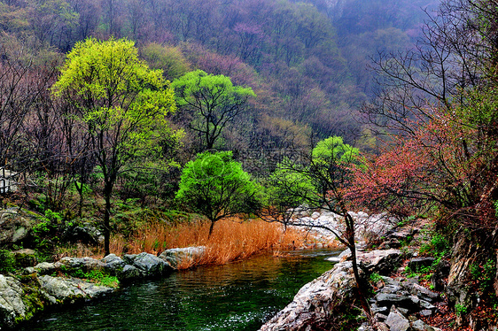 秦岭山风光图片