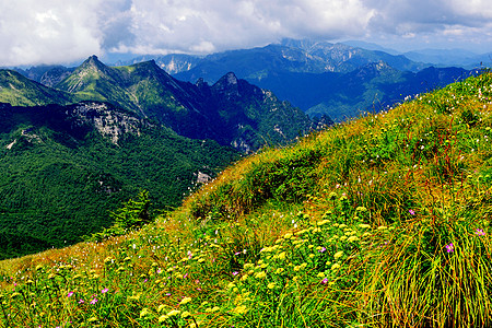 高山日出秦岭山风光背景