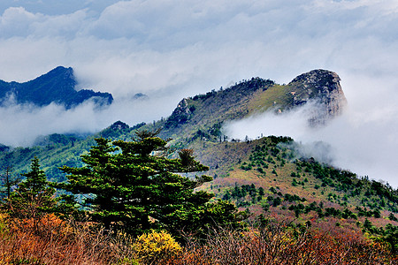 秦岭山风光图片