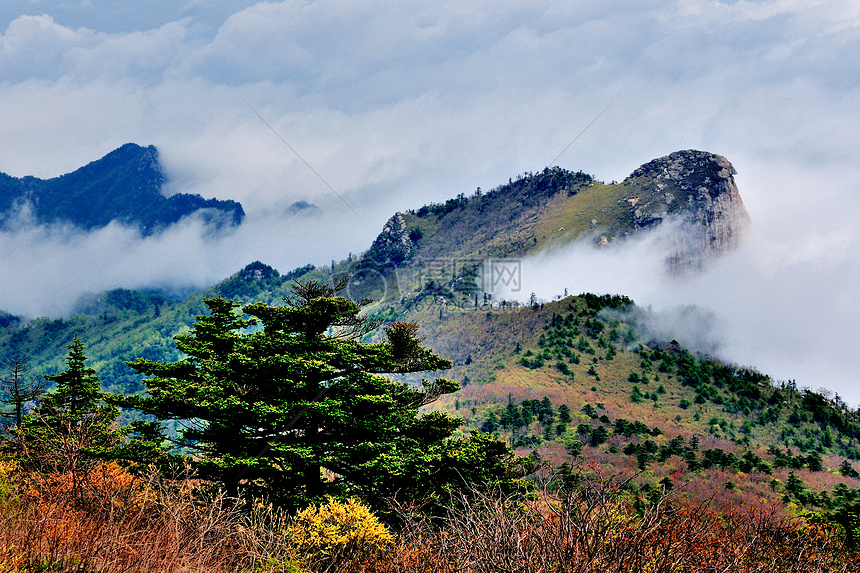 秦岭山风光图片