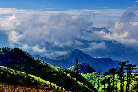 自然全景秦岭山风光背景