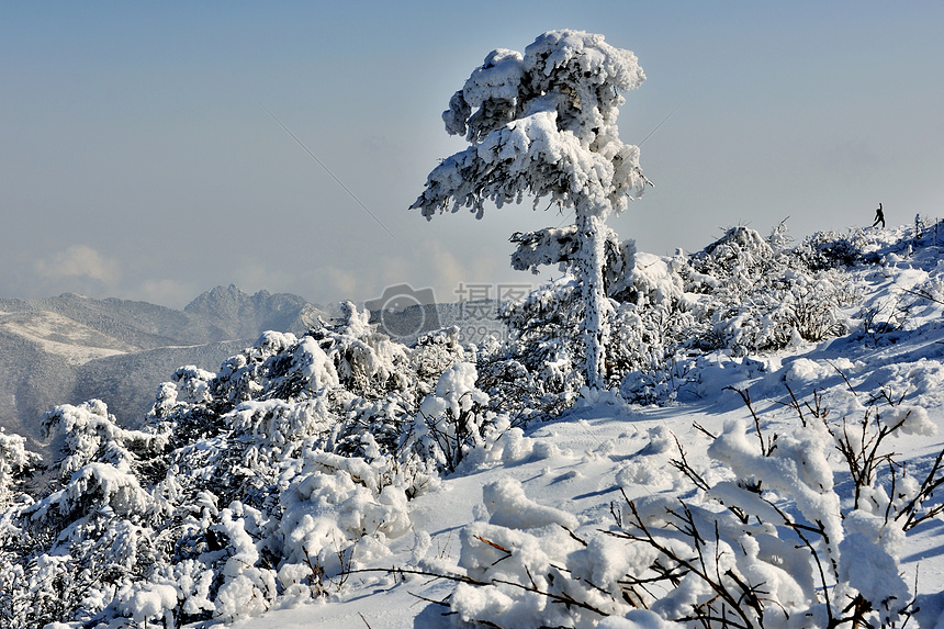 秦岭山风光图片