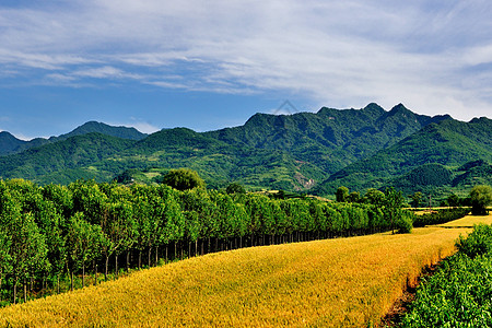 西安环山路风光高清图片