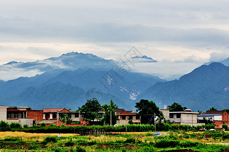 麦田风景西安环山路风光背景