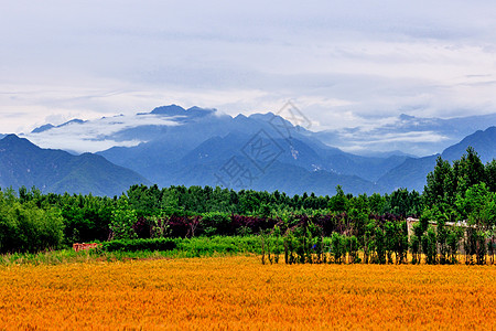 西安环山路风光图片