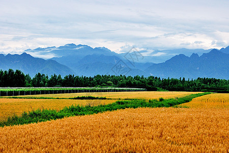 西安环山路风光图片