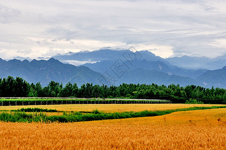 西安环山路风光高清图片