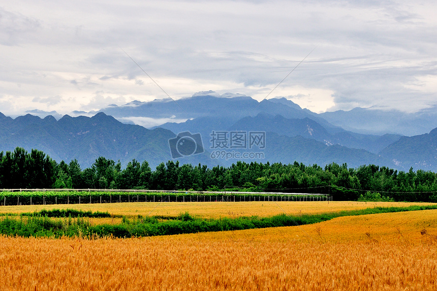 西安环山路风光图片