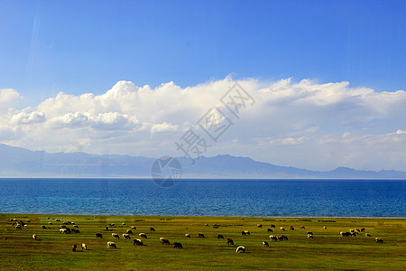 赛里木湖全景新疆北疆自然风光背景