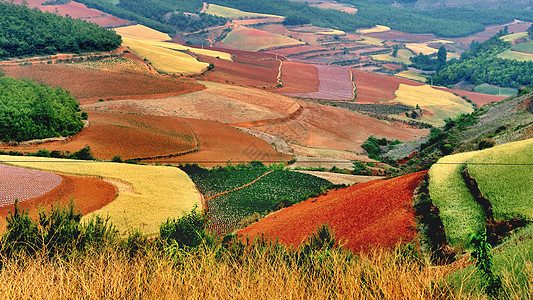 东川红土地图片