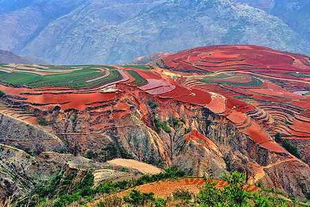 东川红土地云南风景高清图片