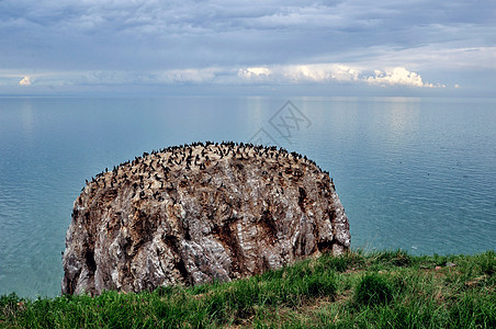 青海牧区青海自然风光背景