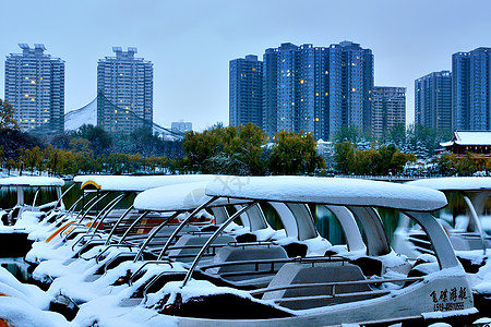 兴庆公园西安周边自然风光背景