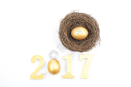 2017和鸟窝鸡蛋摆拍图片