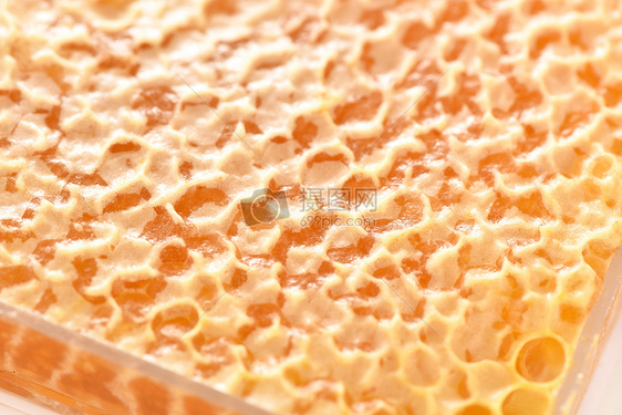 蜂蜜蜂巢图片