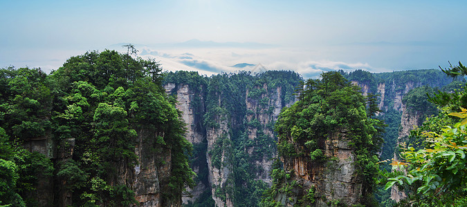 张家界森林风景背景